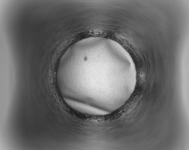 X0000095920865200801251028