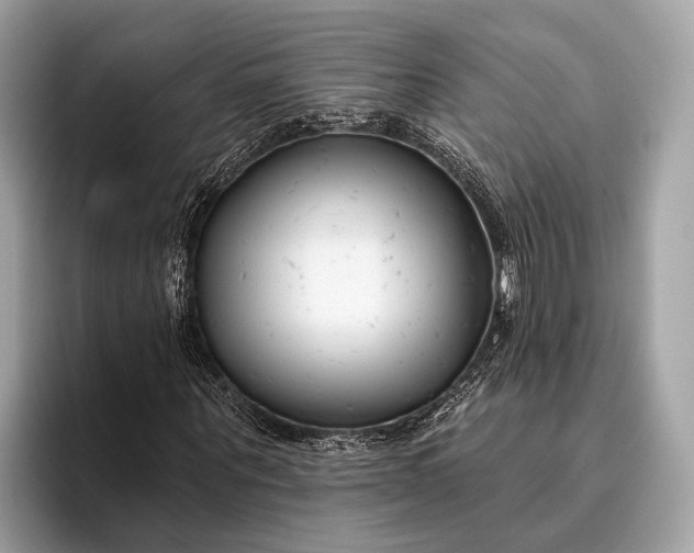 X0000095920867200801251028