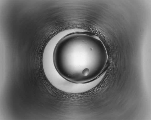 X0000095920868200801251028