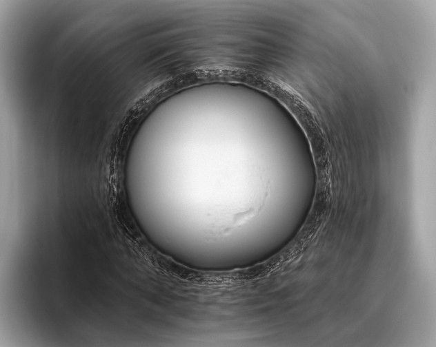 X0000095920870200801251028