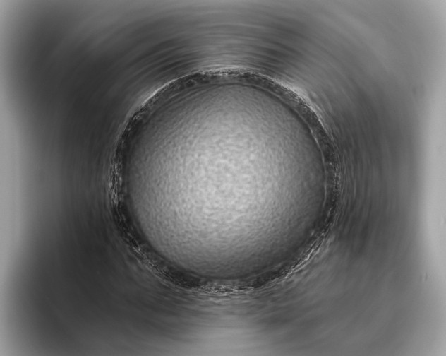 X0000095920871200801251028