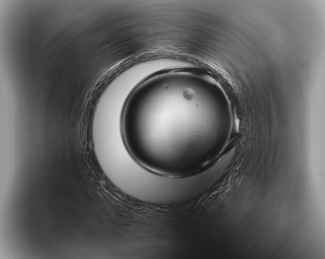 X0000095920872200801251028