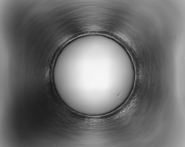 X0000095920873200801251028