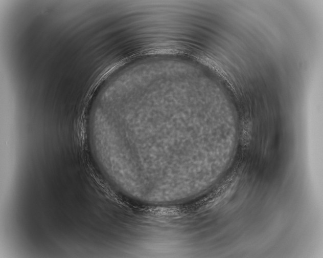 X0000095920874200801251028