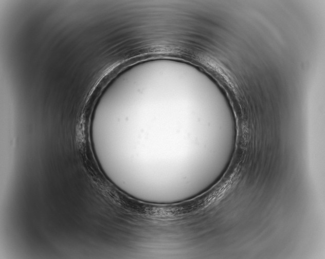 X0000095920875200801251028