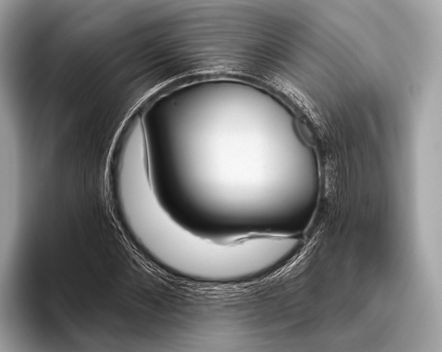 X0000095920876200801251028