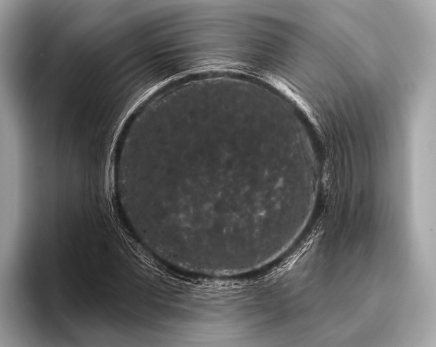 X0000095920877200801251028