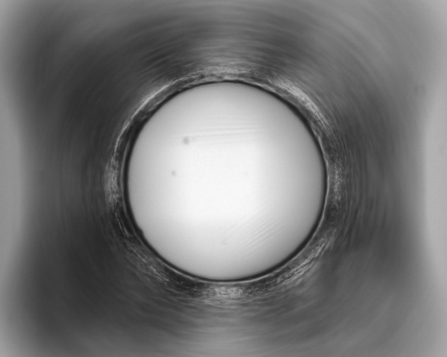 X0000095920878200801251028