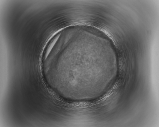 X0000095920879200801251028