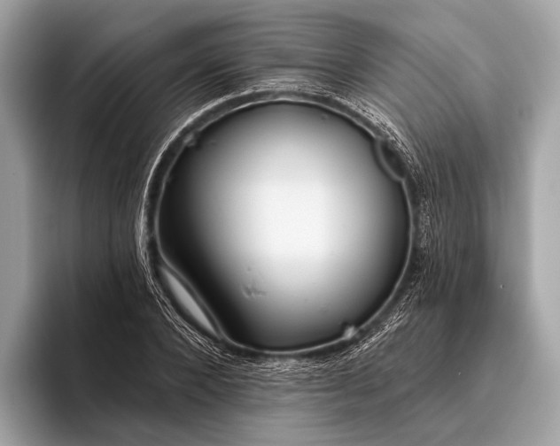 X0000095920880200801251028