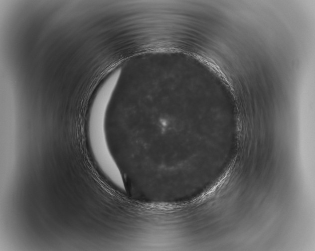 X0000095920881200801251028