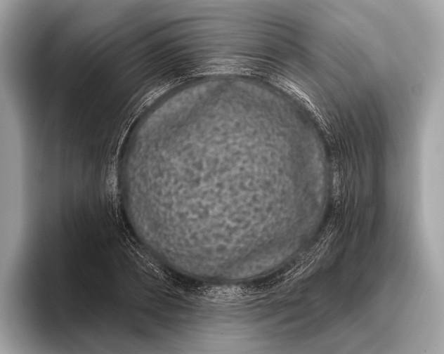 X0000095920882200801251028