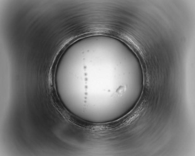 X0000095920883200801251028