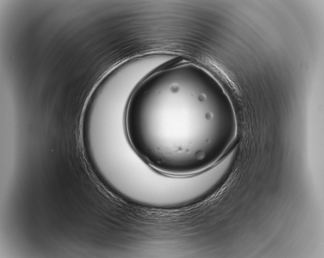 X0000095920884200801251028