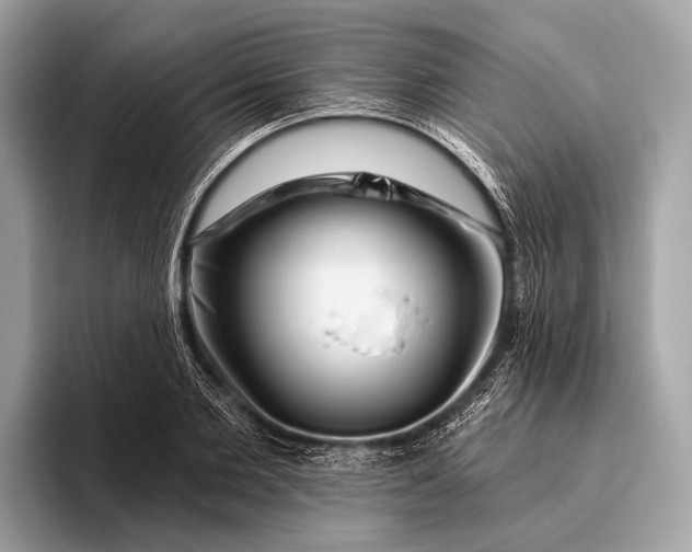 X0000095920885200801251028