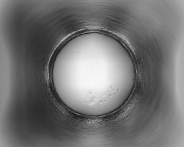 X0000095920887200801251027