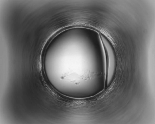 X0000095920888200801251027