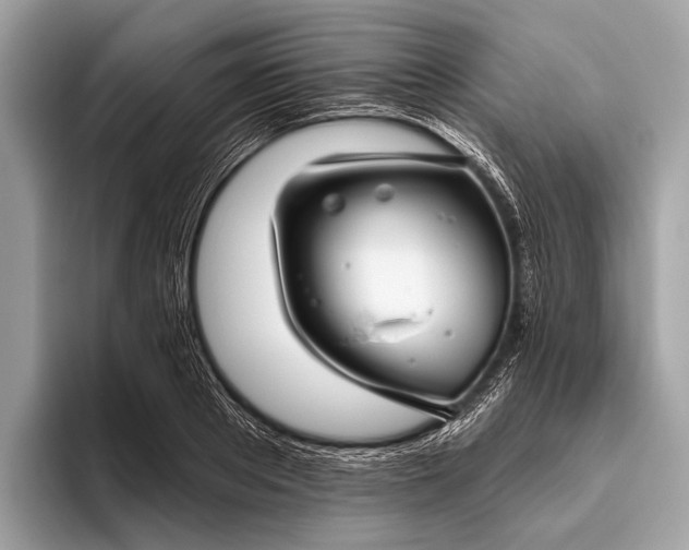 X0000095920889200801251027