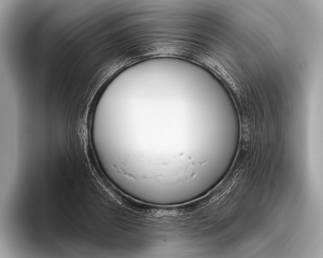 X0000095920890200801251027