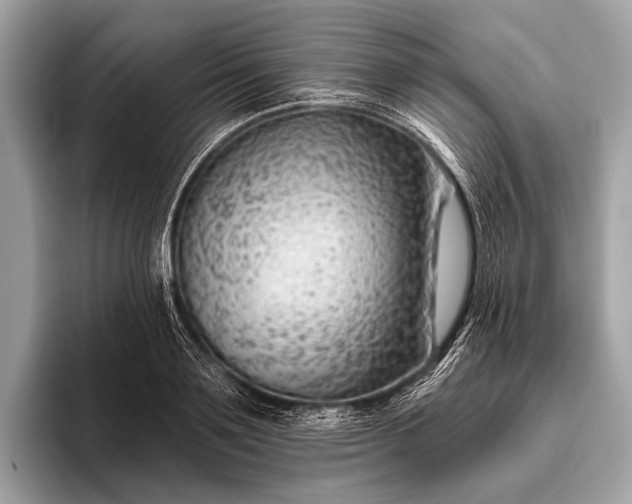 X0000095920891200801251027