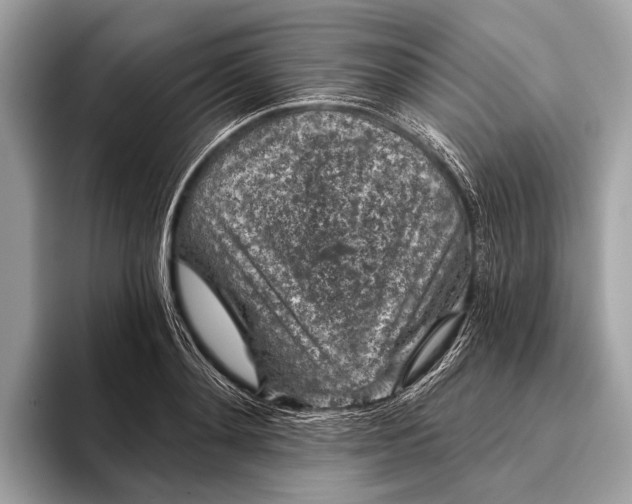 X0000095920892200801251027