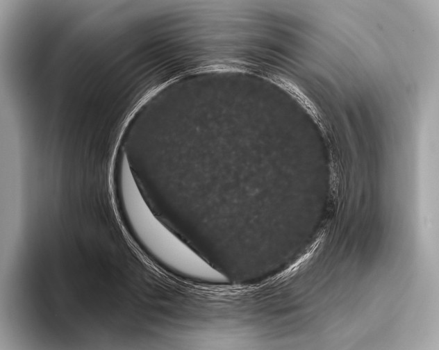 X0000095920893200801251027