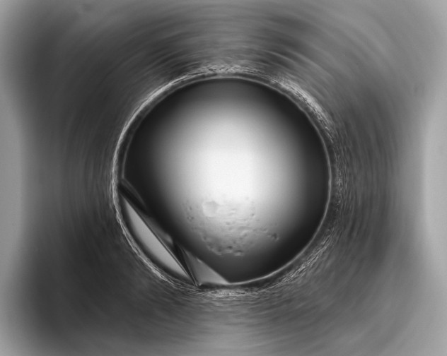 X0000095920894200801251027