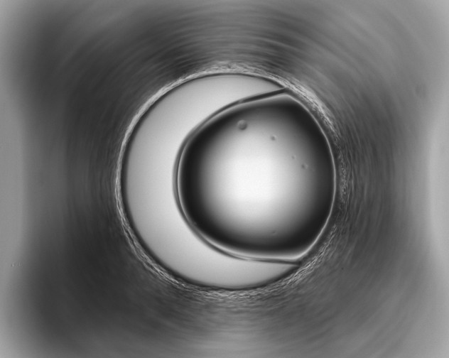 X0000095920896200801251027