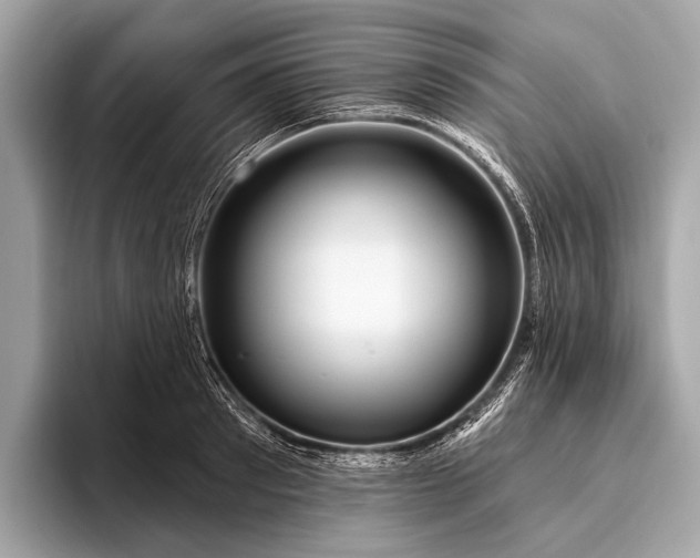 X0000095920897200801251027