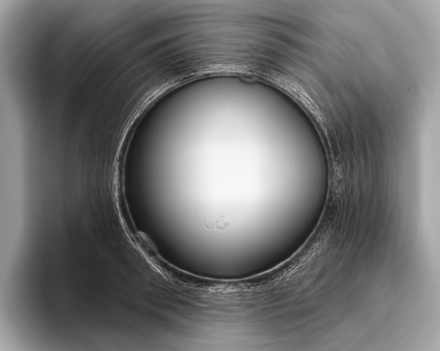 X0000095920898200801251027