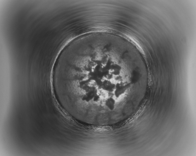 X0000095920899200801251027