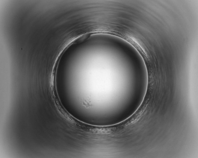 X0000095920900200801251027