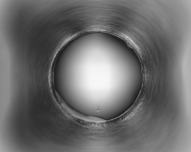 X0000095920901200801251027