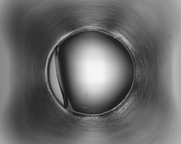 X0000095920902200801251027