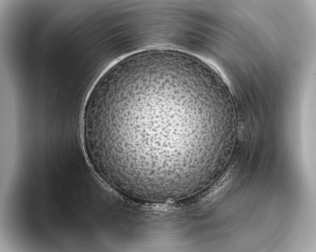 X0000095920903200801251027