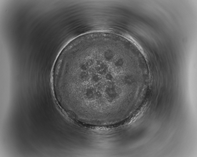 X0000095920907200801251027