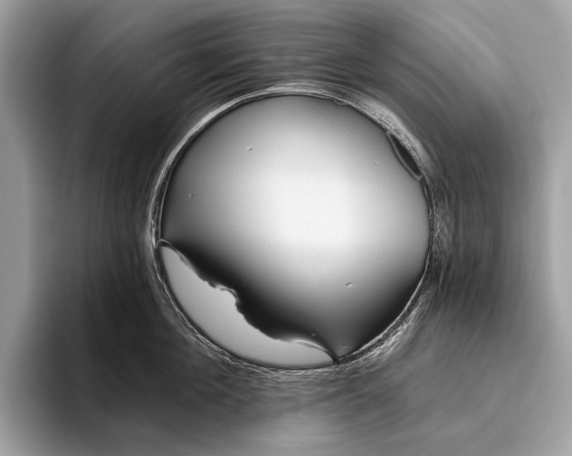 X0000095920908200801251027