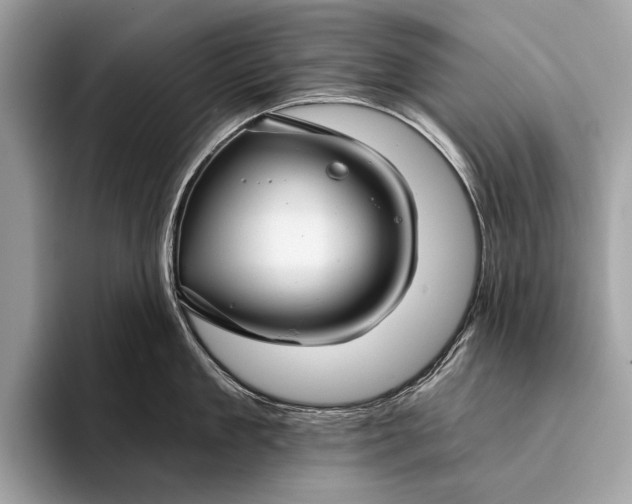 X0000095920909200801251027