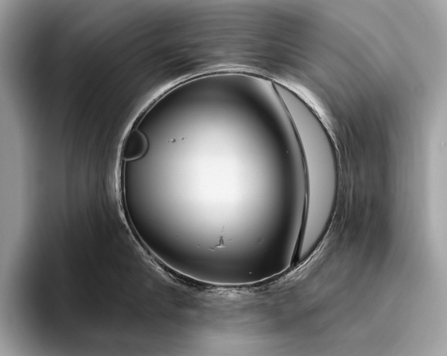 X0000095920910200801251027