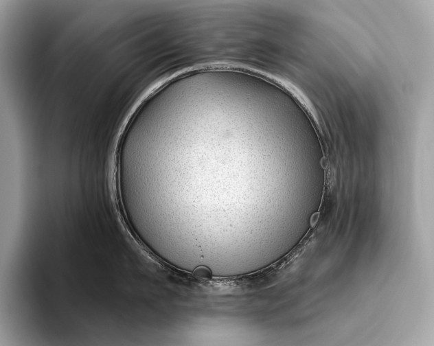 X0000095920911200801251027