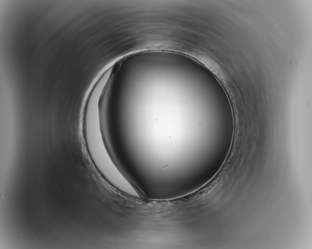 X0000095920912200801251027