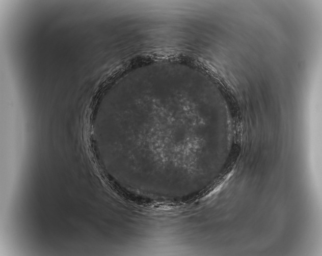 X0000095920913200801251027