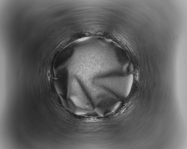 X0000095920915200801251027