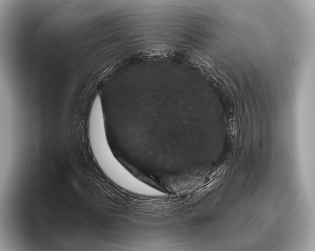 X0000095920916200801251027