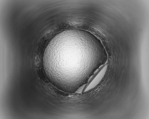 X0000095920917200801251027