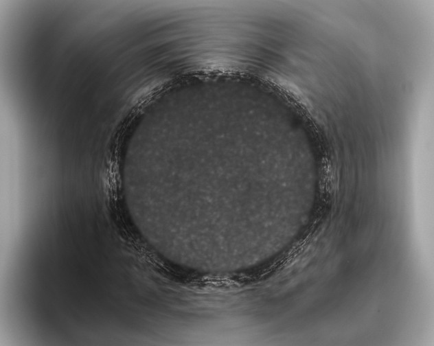 X0000095920918200801251027