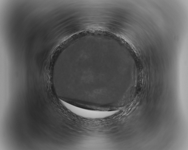 X0000095920919200801251027