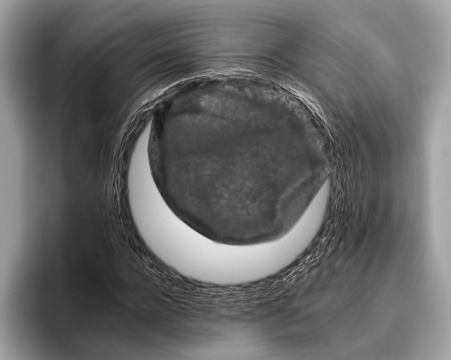 X0000095920920200801251027