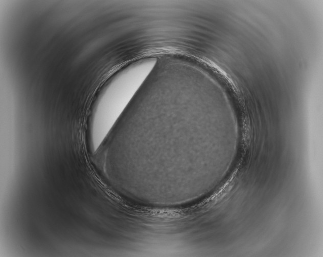 X0000095920921200801251027