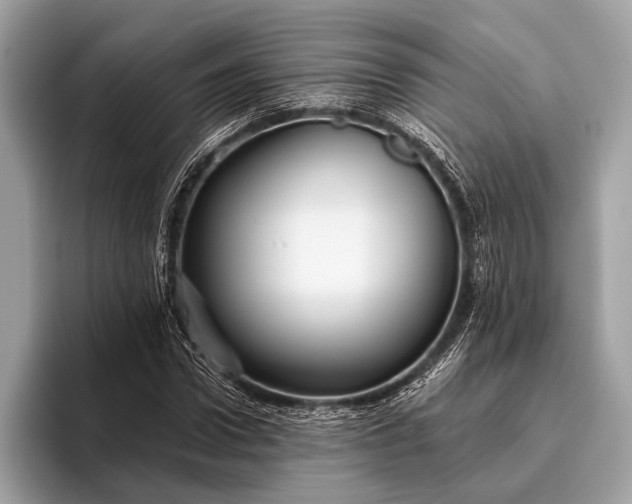 X0000095920922200801251027